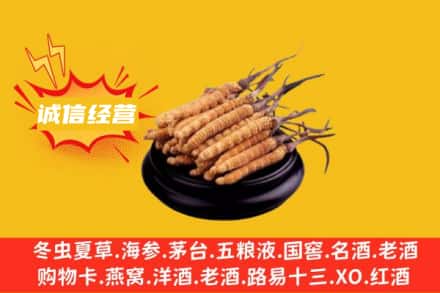 汉中回收冬虫夏草